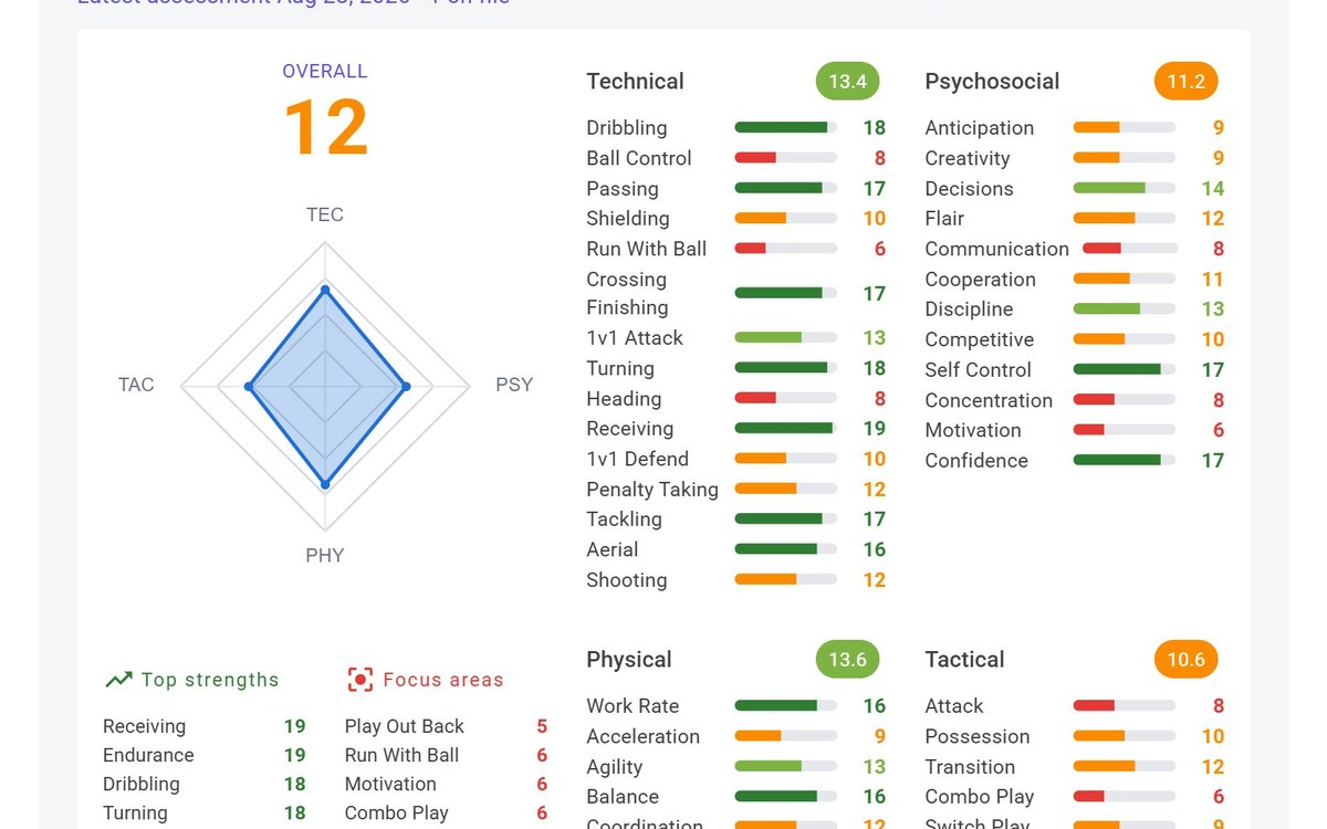 Player performance radar and attribute breakdown across five pillars